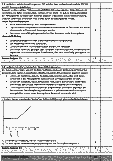 Vorschau Seite 2