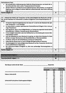 Vorschau Seite 4