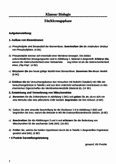 Vorschau Seite 1