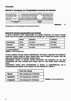 Vorschau Seite 2