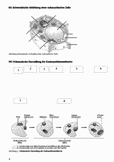 Vorschau Seite 3