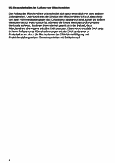 Vorschau Seite 4
