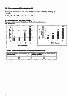 Vorschau Seite 5