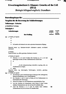 Vorschau Seite 1