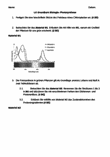 Vorschau Seite 1