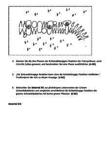 Vorschau Seite 2