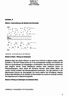 Vorschau Seite 2
