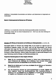 Vorschau Seite 3