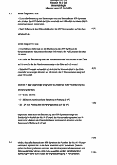 Vorschau Seite 3