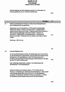 Vorschau Seite 4