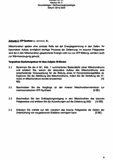 Vorschau Seite 4