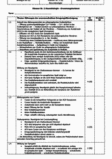 Vorschau Seite 1