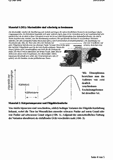 Vorschau Seite 4