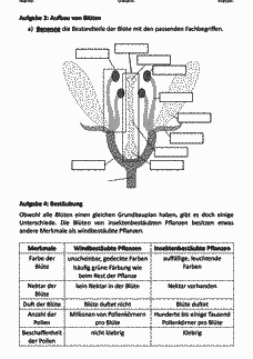 Vorschau Seite 3