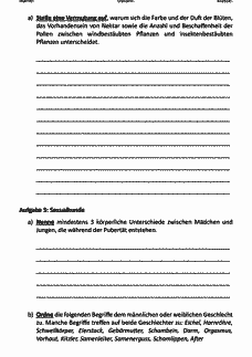 Vorschau Seite 4