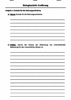 Vorschau Seite 1
