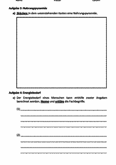 Vorschau Seite 3
