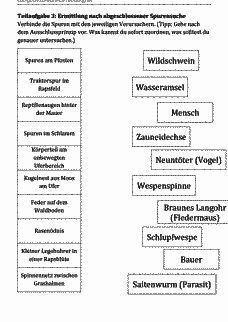 Vorschau Seite 4