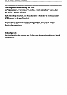 Vorschau Seite 6
