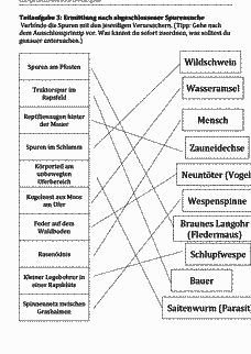 Vorschau Seite 8