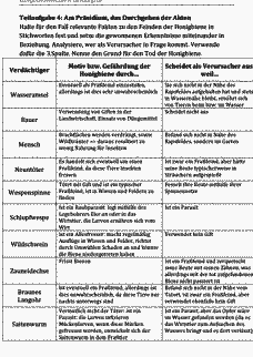 Vorschau Seite 9