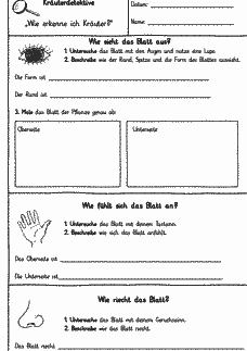 Vorschau Seite 1