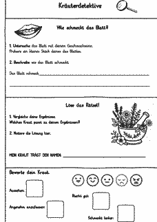 Vorschau Seite 2