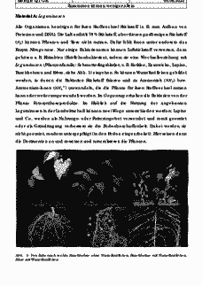 Vorschau Seite 1