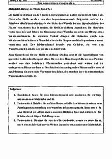 Vorschau Seite 2
