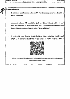 Vorschau Seite 3
