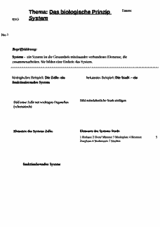 Vorschau Seite 1