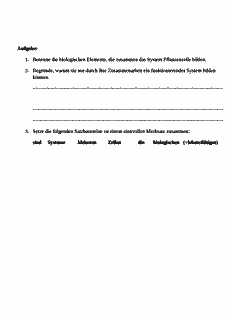 Vorschau Seite 2
