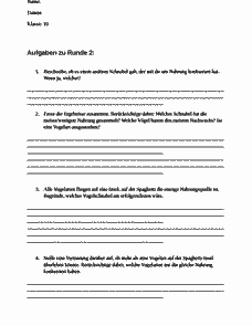 Vorschau Seite 5