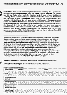 Vorschau Seite 1