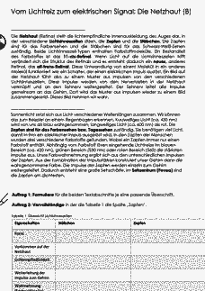 Vorschau Seite 2