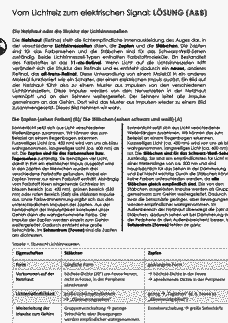 Vorschau Seite 1