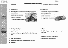 Vorschau Seite 3