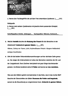 Vorschau Seite 2