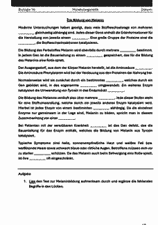 Vorschau Seite 18