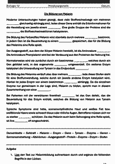 Vorschau Seite 19