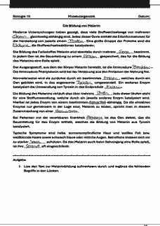 Vorschau Seite 25