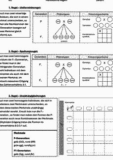 Vorschau Seite 6