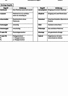 Vorschau Seite 7