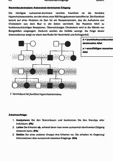 Vorschau Seite 8