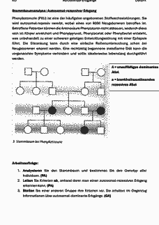 Vorschau Seite 10