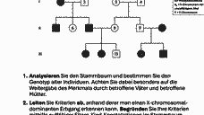 Vorschau Seite 3