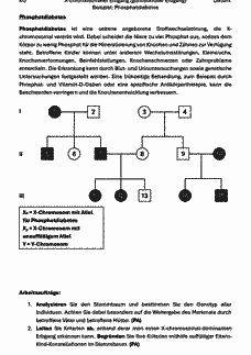 Vorschau Seite 4