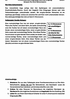 Vorschau Seite 9
