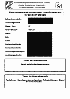 Vorschau Seite 1
