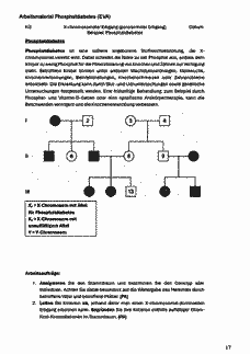 Vorschau Seite 19